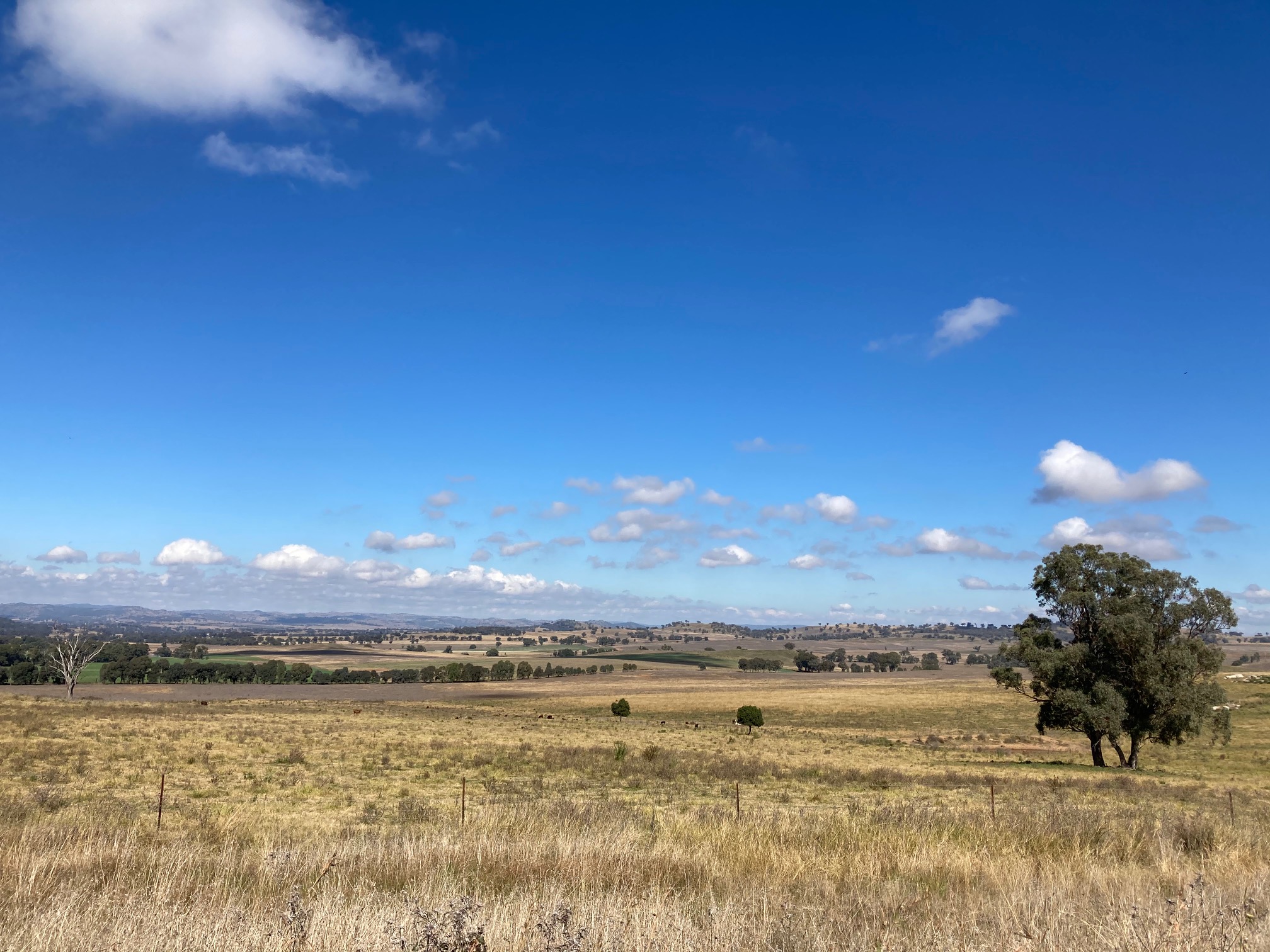 Paddock with blue sky and clouds. 