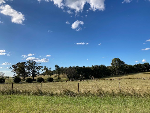 Paddock with hill and blue skies. 